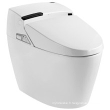 Salle de bain intelligente High Quatity Toilet (JN30609)